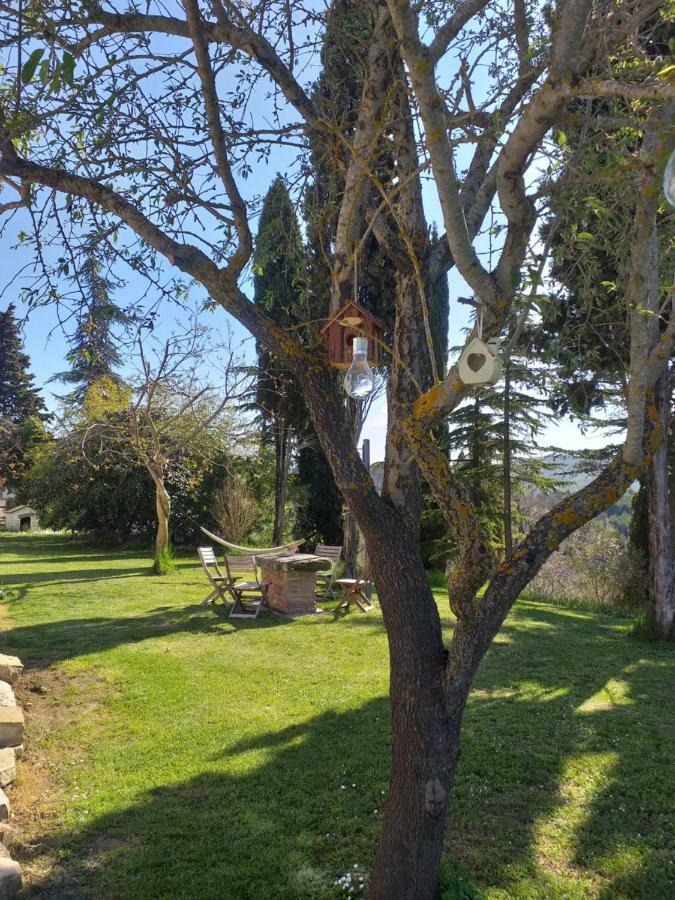 Le Terre Di Caprano Hotell Città di Castello Exteriör bild