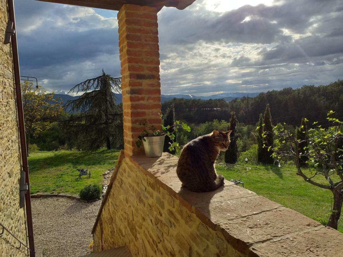 Le Terre Di Caprano Hotell Città di Castello Exteriör bild